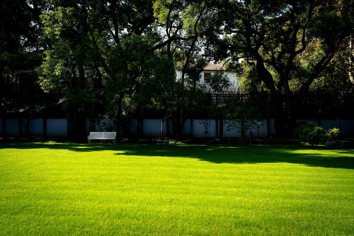 A neat green lawn